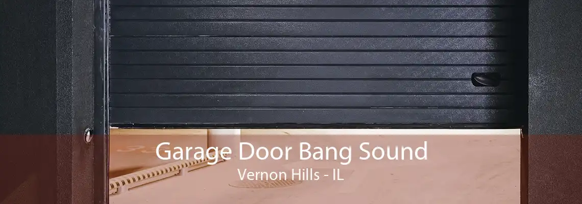 Garage Door Bang Sound Vernon Hills - IL