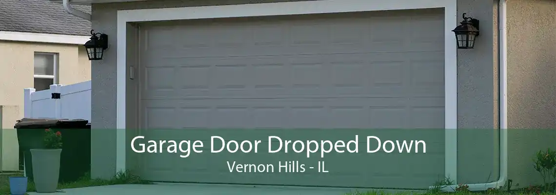 Garage Door Dropped Down Vernon Hills - IL