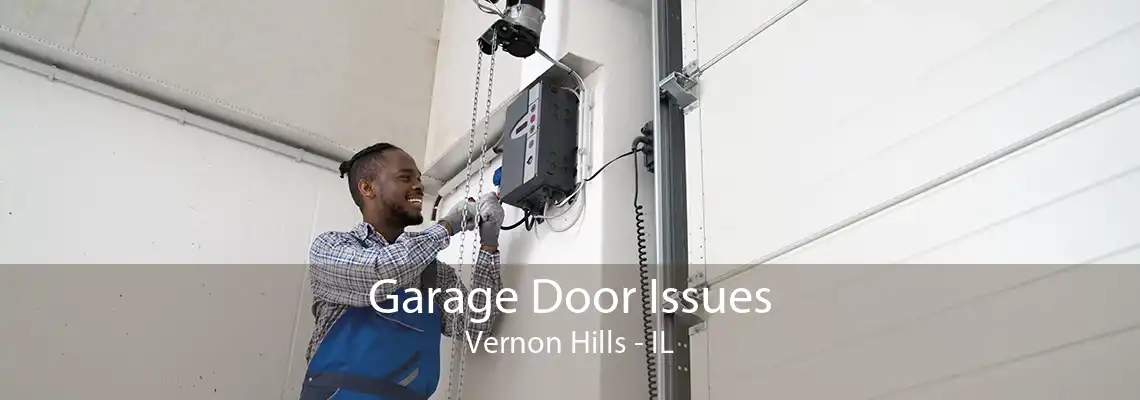 Garage Door Issues Vernon Hills - IL