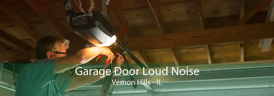 Garage Door Loud Noise Vernon Hills - IL