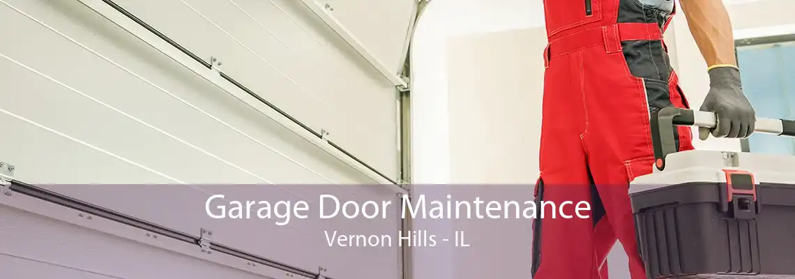 Garage Door Maintenance Vernon Hills - IL