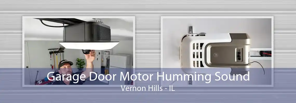 Garage Door Motor Humming Sound Vernon Hills - IL