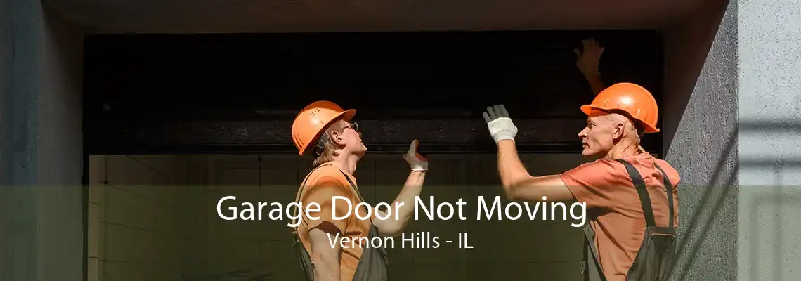 Garage Door Not Moving Vernon Hills - IL