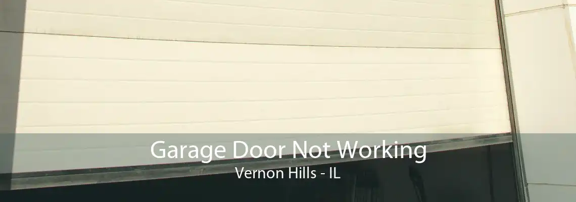 Garage Door Not Working Vernon Hills - IL