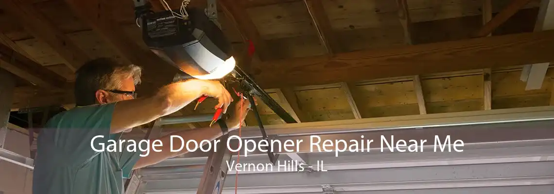 Garage Door Opener Repair Near Me Vernon Hills - IL