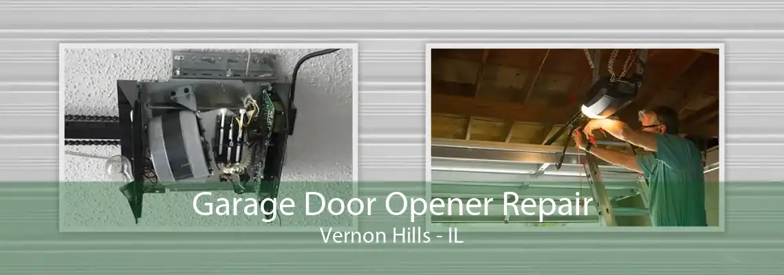 Garage Door Opener Repair Vernon Hills - IL