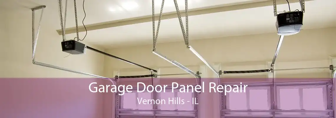 Garage Door Panel Repair Vernon Hills - IL