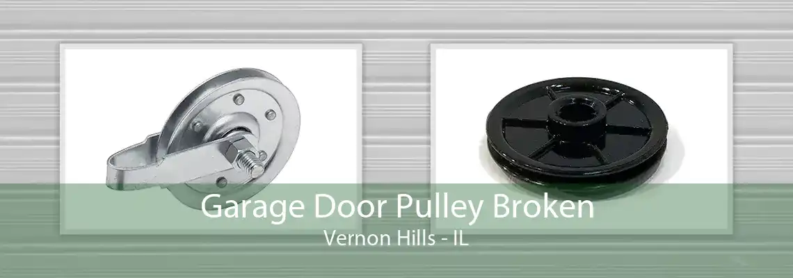 Garage Door Pulley Broken Vernon Hills - IL