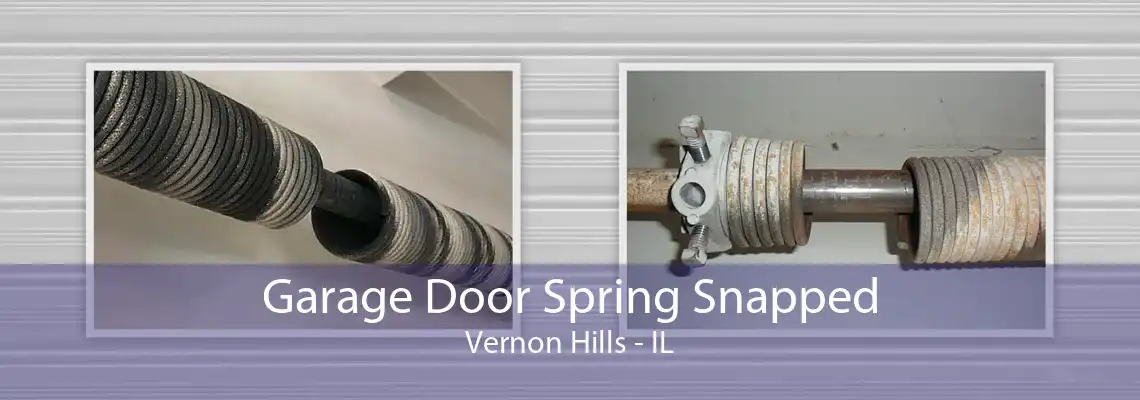 Garage Door Spring Snapped Vernon Hills - IL