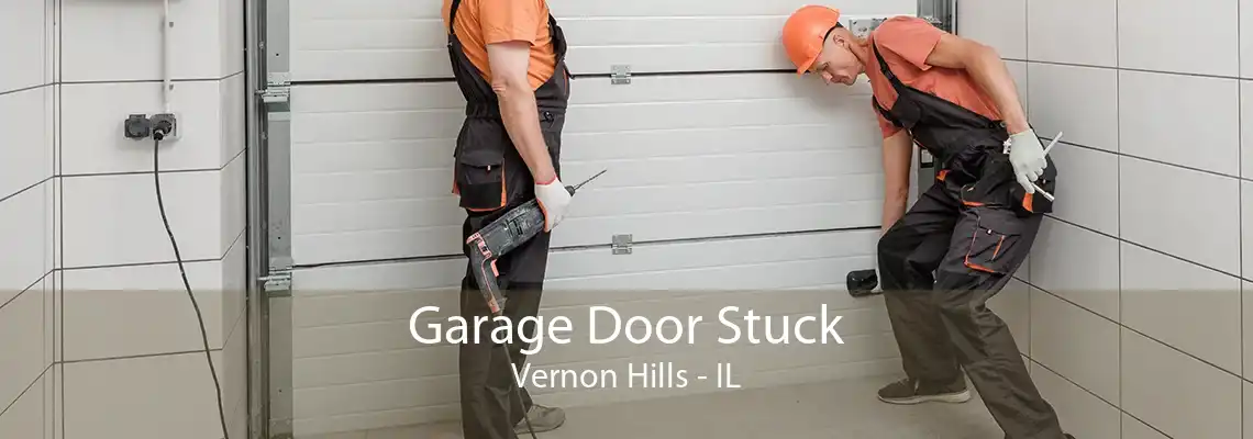 Garage Door Stuck Vernon Hills - IL