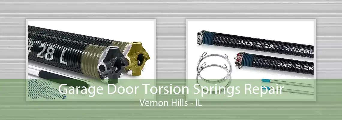 Garage Door Torsion Springs Repair Vernon Hills - IL