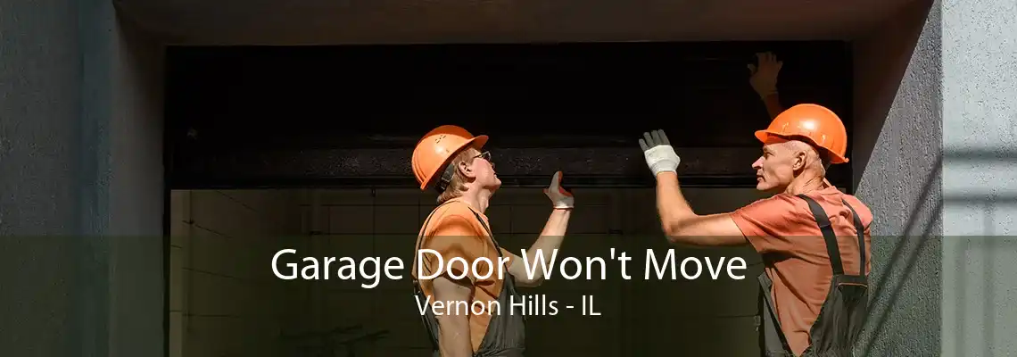 Garage Door Won't Move Vernon Hills - IL