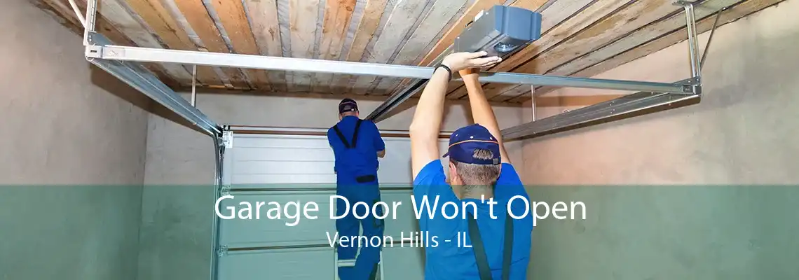 Garage Door Won't Open Vernon Hills - IL