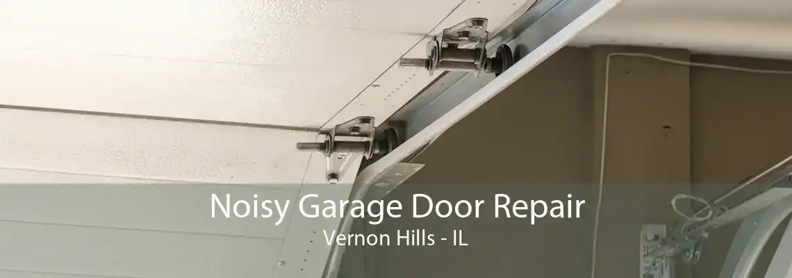 Noisy Garage Door Repair Vernon Hills - IL