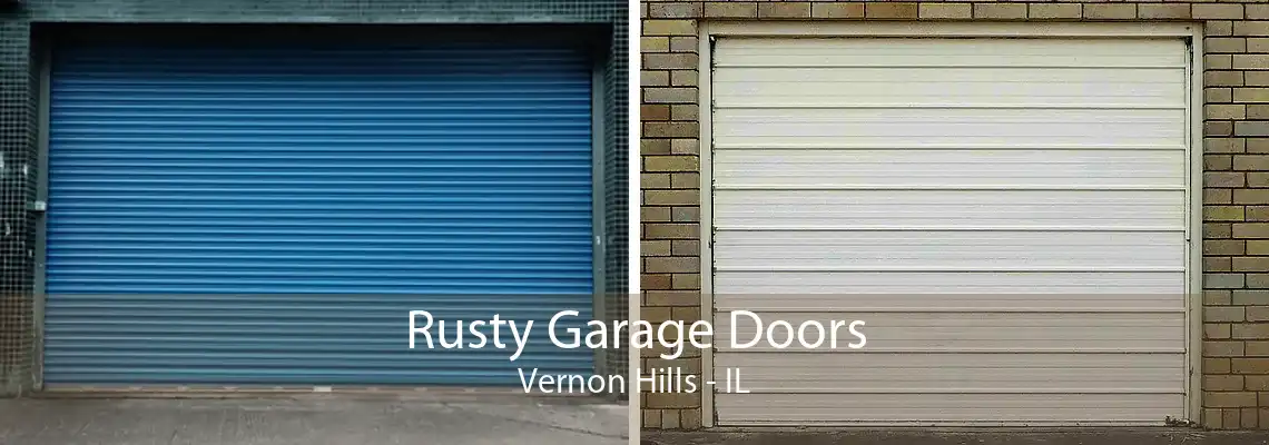 Rusty Garage Doors Vernon Hills - IL